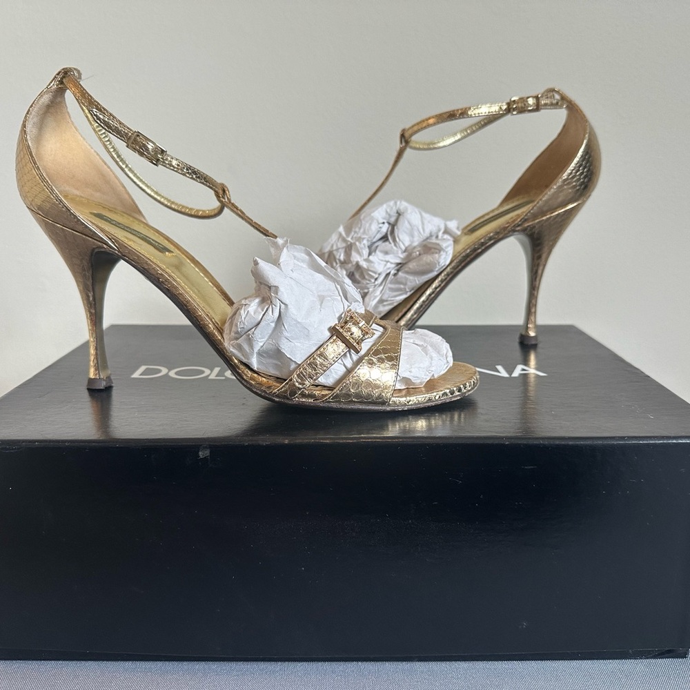 Dolce & Gabbana Gold Snake High Heel